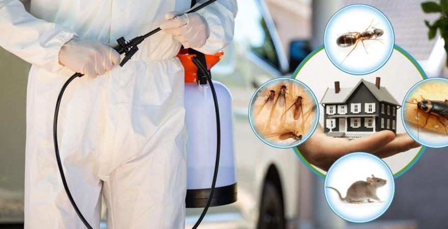 Muratlı Böcek İlaçlama