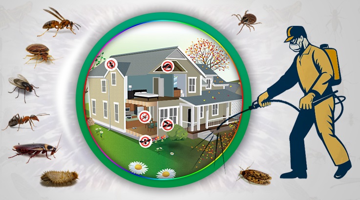 Muratlı Böcek İlaçlama