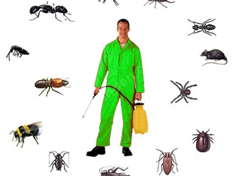 Muratlı Böcek İlaçlama